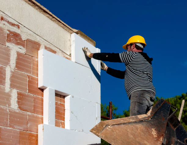 Best Wall Insulation Contractor  in North Kansas City, MO