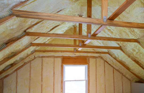 Best Fiberglass Insulation  in North Kansas City, MO