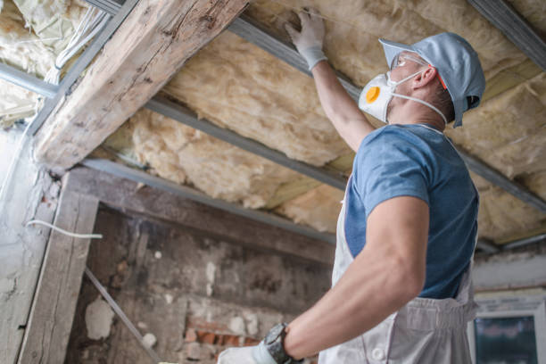 Best Energy-efficient Insulation  in North Kansas City, MO