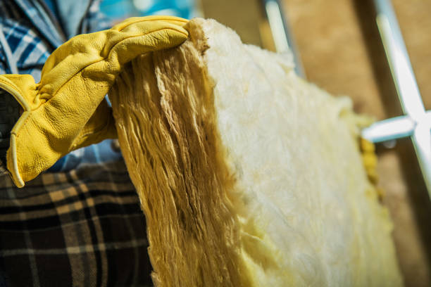 Best Fiberglass Insulation  in North Kansas City, MO