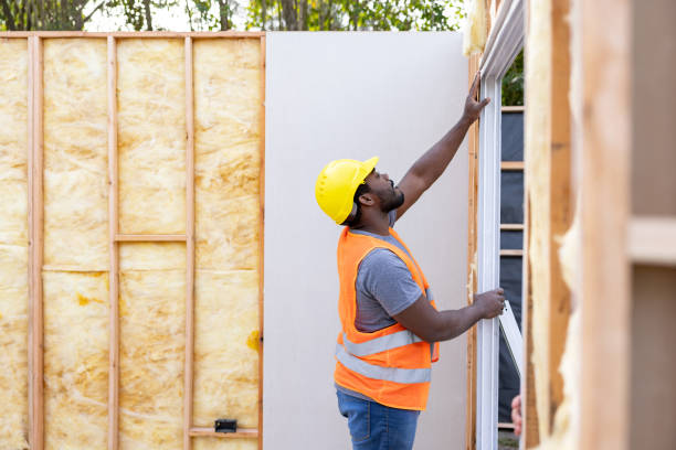 Best Attic Insulation Installation  in North Kansas City, MO