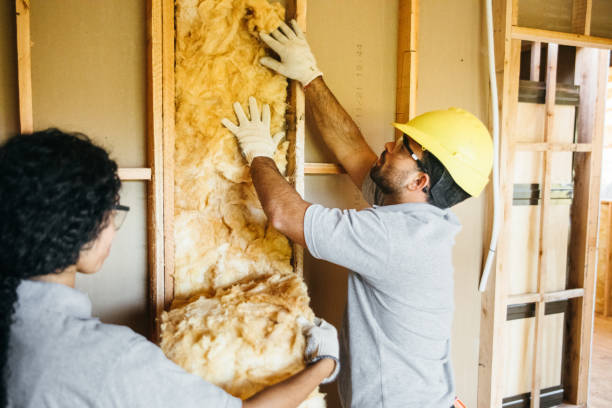 Best Local Insulation Services  in North Kansas City, MO