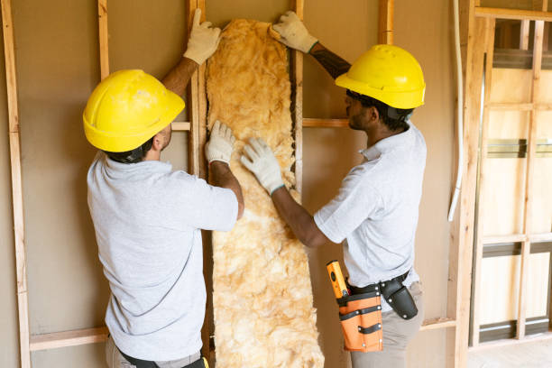 Best Residential Insulation Services  in North Kansas City, MO