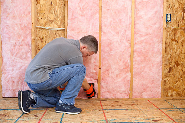 Best Garage Insulation Installation  in North Kansas City, MO