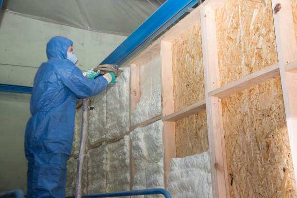 Best Affordable Insulation Services  in North Kansas City, MO