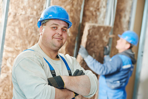 Best Insulation Removal  in North Kansas City, MO
